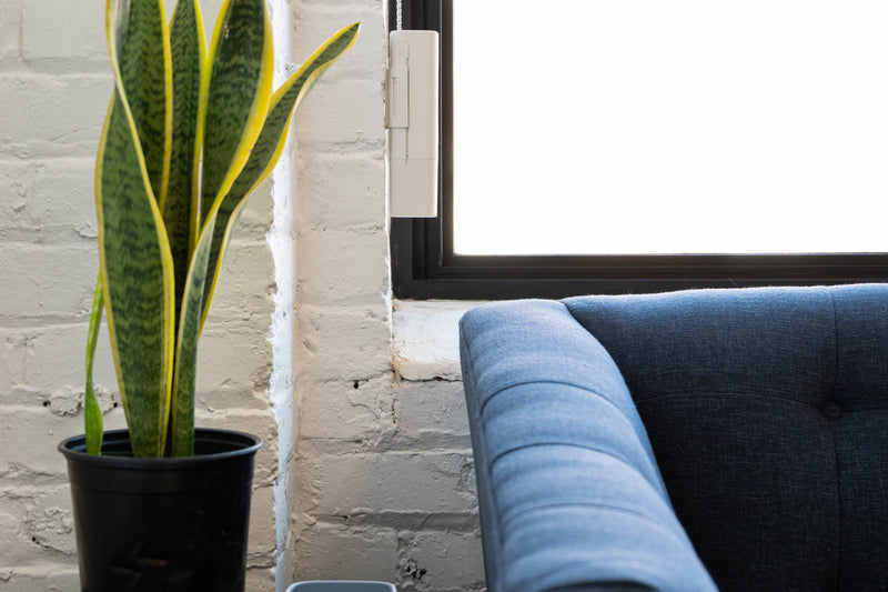 How to Choose the Best Smart Blinds for Your Home
