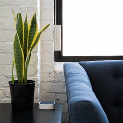 How to Choose the Best Smart Blinds for Your Home